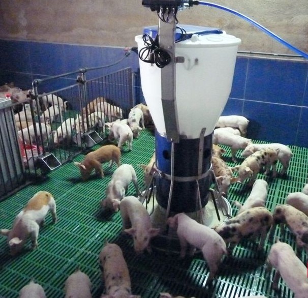 Foto deTolvas para destete