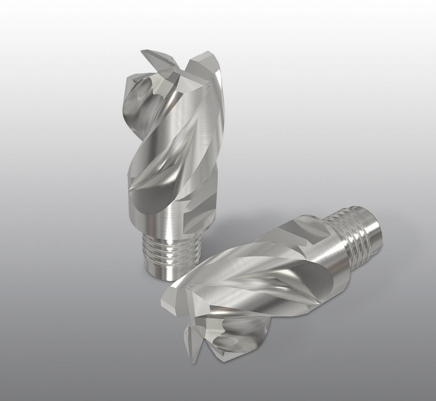 Foto de Cabezas integrales