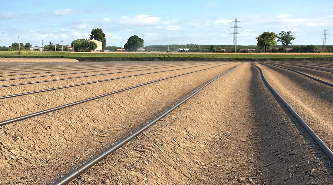 Foto de Cintas de riego con laberinto
