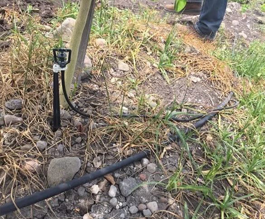 Foto de Microaspersores