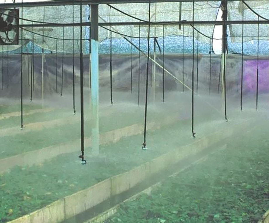 Foto de Nebulizadores