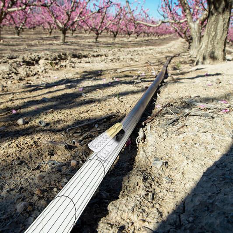 Foto de Riegos por goteo