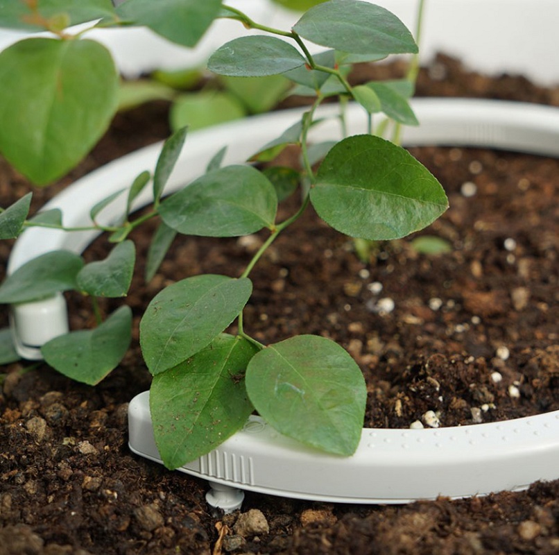 Foto de Arcos de goteo multisalida