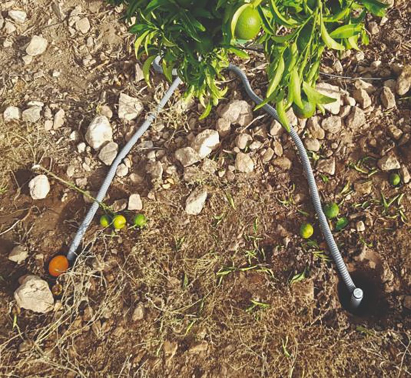 Foto de Sondas de suelo