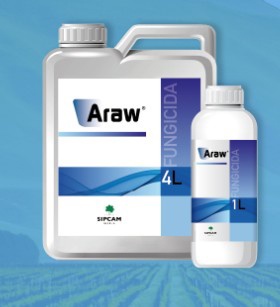 Foto de Fungicida ecológicos