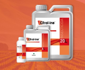 Foto de Insecticidas