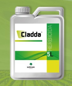 Foto de Herbicidas sistémicos