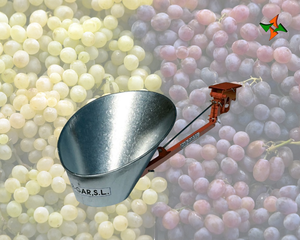 Foto de Cargadores de uvas y aceitunas