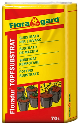 Foto de Substratos para plantar cítricos y plantas de contenedor