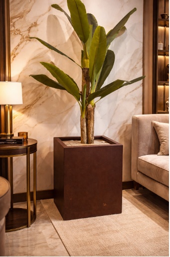 Foto de Cube Roma fabricado en meta