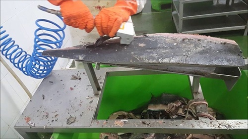 Foto dePeladoras de Pescado