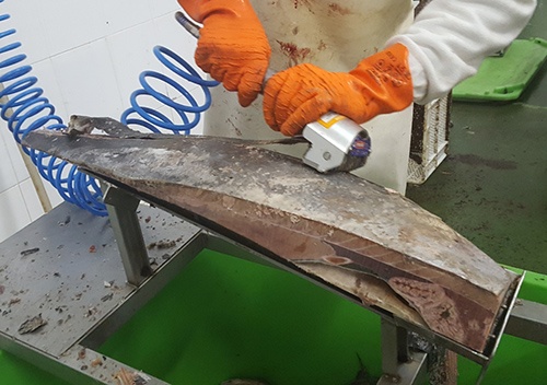 Foto de Peladoras de Pescado