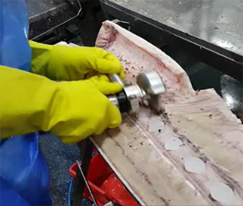 Foto deLimpiadoras Pescado