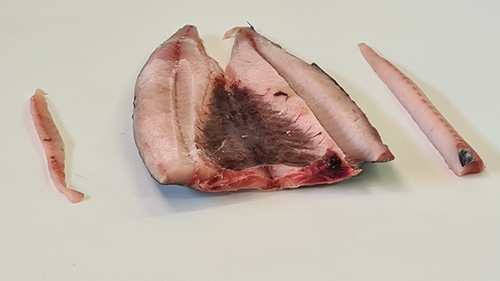 Foto de Cuchillos neumáticos