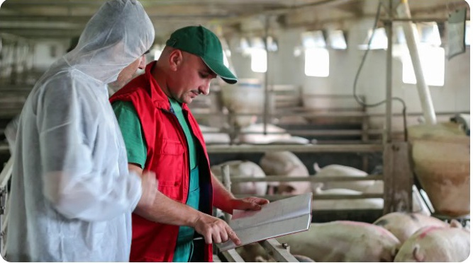 Foto de Soluciónes específicas para la gestión de granjas y fabricación de piensos