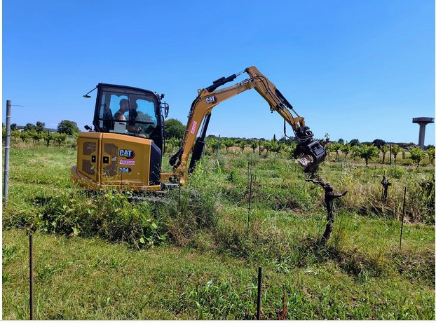 Foto de Pinzas seleccionadoras para miniexcavadoras