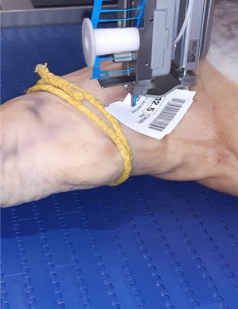 Foto deRobots para el pesaje y etiquetado de jamones frescos