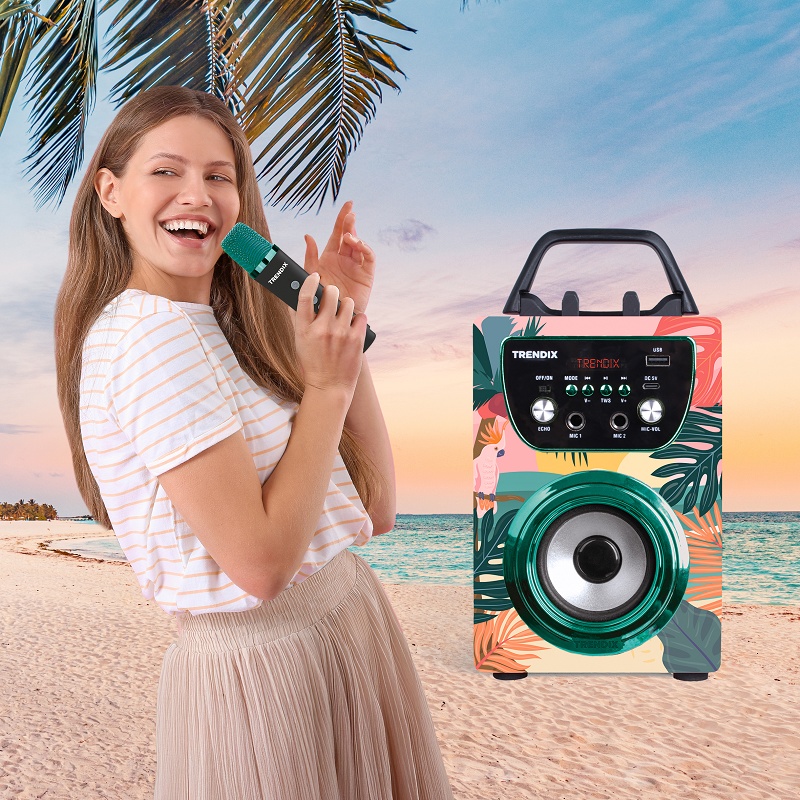 Foto deKaraoke con altavoz