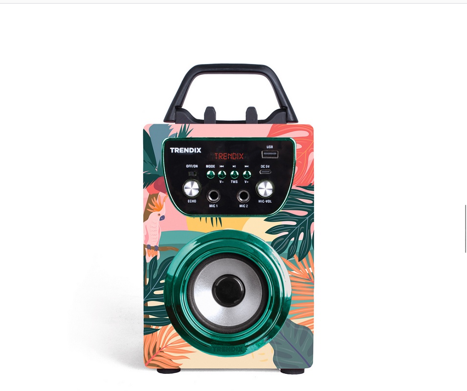 Foto deKaraoke con altavoz