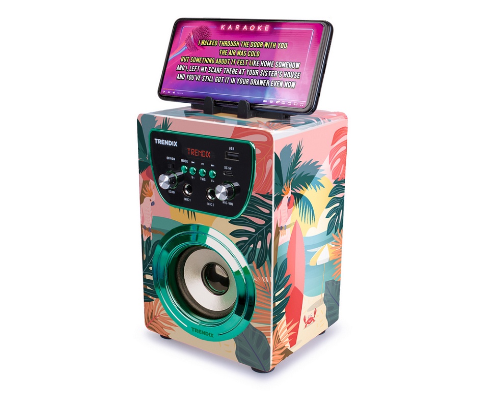 Foto deKaraoke con altavoz