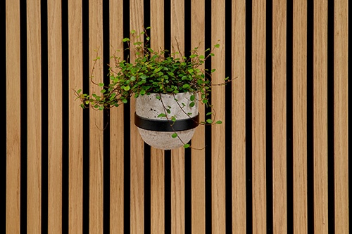 Foto deSistemas decorativos