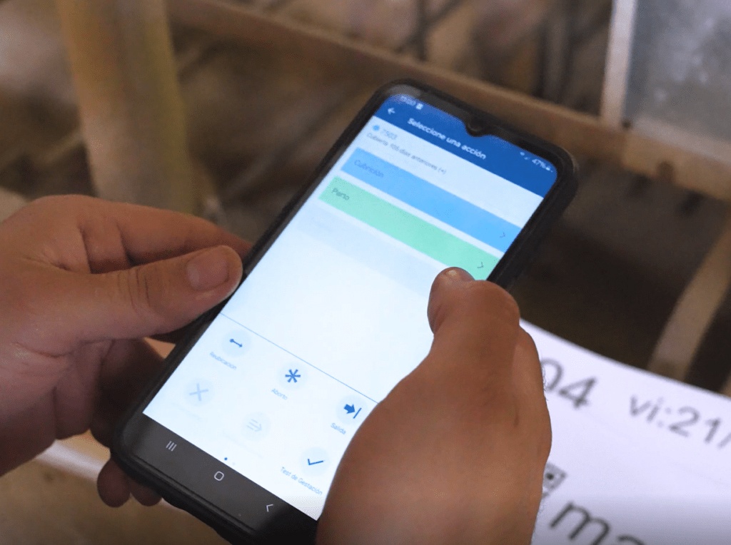 Foto de Software de gestión de piaras