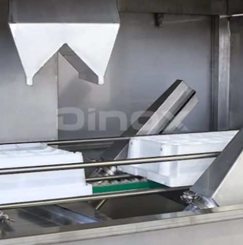 Foto deTúneles de Secado para Cajas y Bandejas