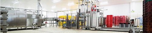 Foto de Líneas automáticas para lavado de cajas y bandejas