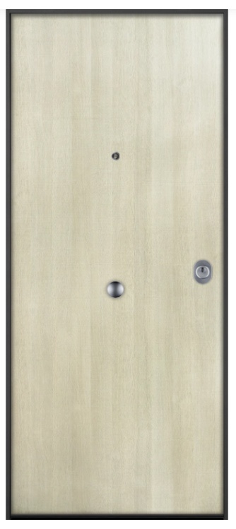 Foto de Puertas acorazadas para vivienda con doble acabado decorativo