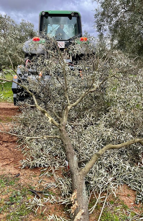 Foto deTrituradoras agrícolas
