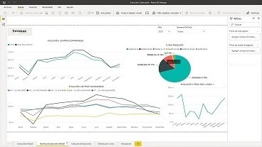 Foto deCuadros de mando con modelo de datos propio para el sector de los carburantes
