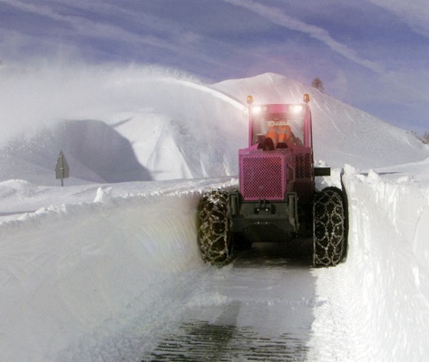Foto de Tractores forestales