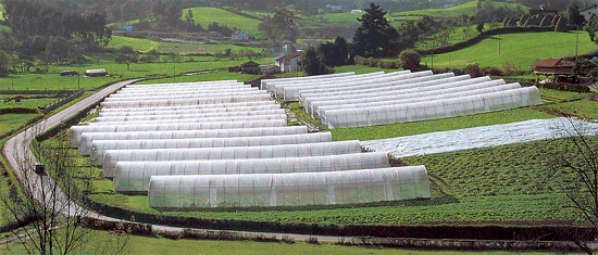 Foto de Túneles y multitúneles
