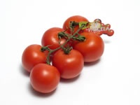 Foto de Tomates en rama