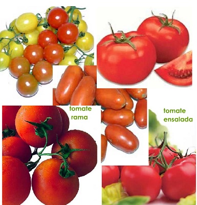 Foto de Tomates