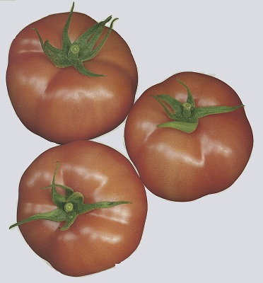 Foto de Semillas de tomate Beef