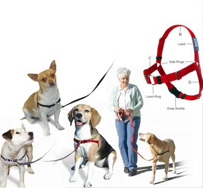 Foto de Arnés de adiestramiento