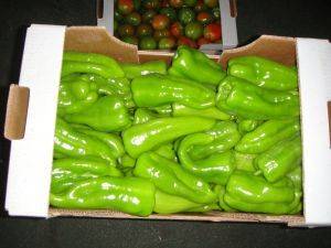 Picture of Italian peppers