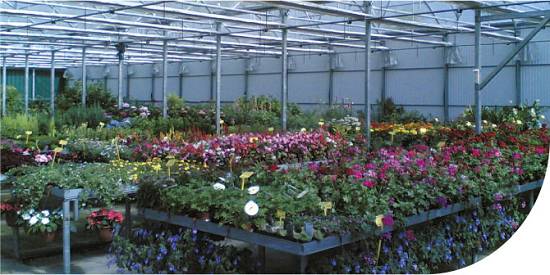 Foto de Mesas de cultivo