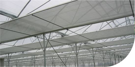 Foto de Pantallas térmicas para invernaderos