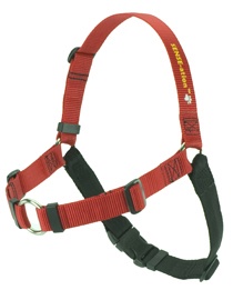 Foto de Arnés de adiestramiento