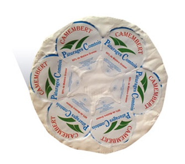 Picture of Camembert cheese