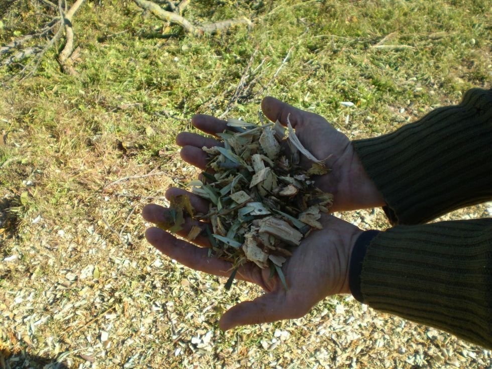 Maquinaria Agrícola trituradora ramas de segunda mano y ocasión en  Salamanca Provincia