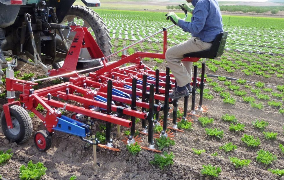 Cultivador para horticultura ecologica