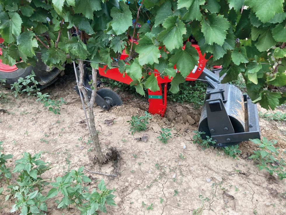 Abonadora para cultivos de viña