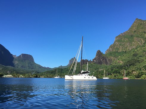 Catamaran à voile de 15,24 m de eslora