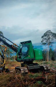 Procesadora forestal WACKER NEUSON FOREST 243 HVT