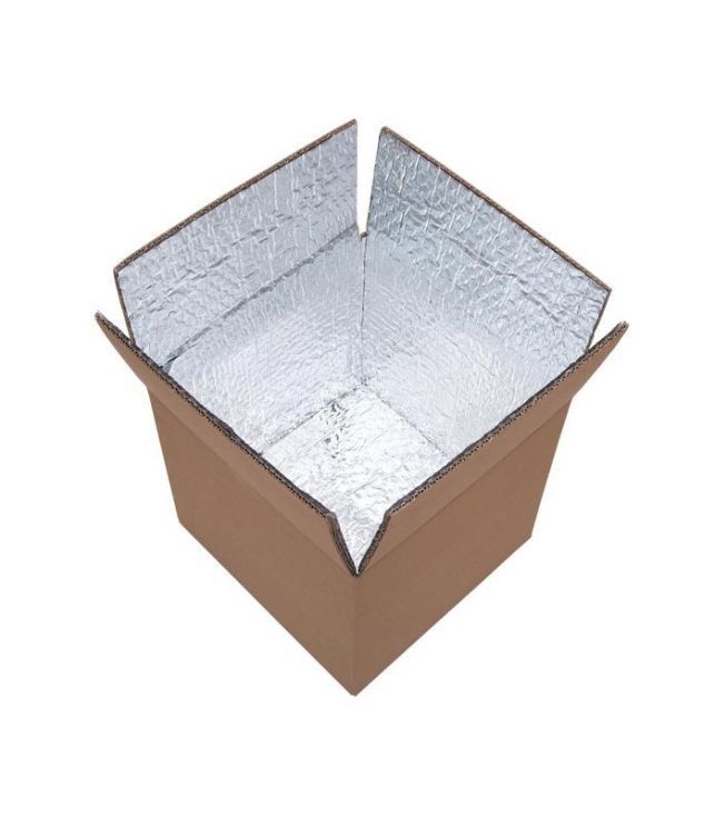 cajas plegadas isotérmicas cartón+ foam de 31,5x31,5x24,9 cma
