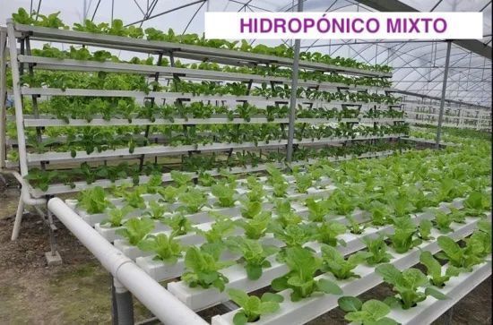 Sistemas de cultivo hidropónico, climatizacíon e iluminación para invernaderos