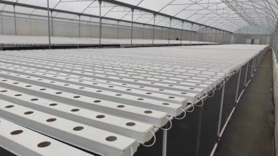 Sistemas de cultivo hidropónico, climatizacíon e iluminación para invernaderos